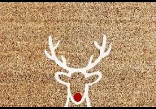 Decorative Red Nose Reindeer Mat